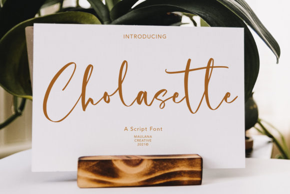 Cholasette Script: Infusing Modern Romance into Your Projects