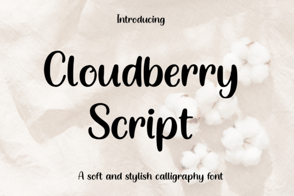 Cloudberry Script: A Soft Calligraphy for Modern Brands