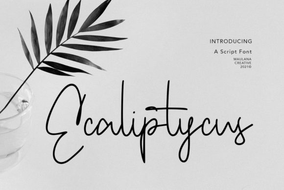 Ecaliptycus Script: A Guide to This Modern Handwritten Font