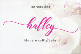 Halley Script: The Romantic Handwritten Font with Charismatic Swashes